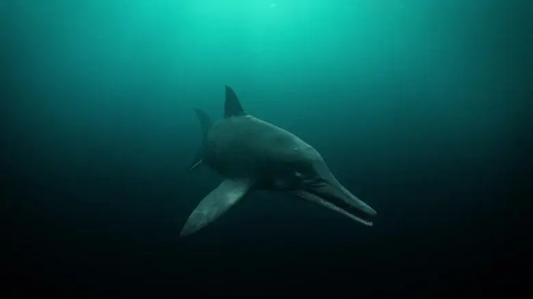 Attenborough and the Sea Dragon still 8