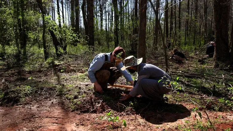 Atlanta Forest Garden: Four Days of Work still 1