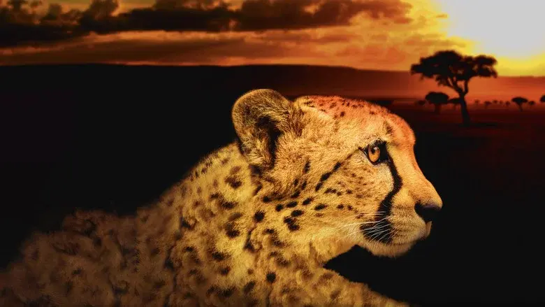 Africa's Deadliest still 3