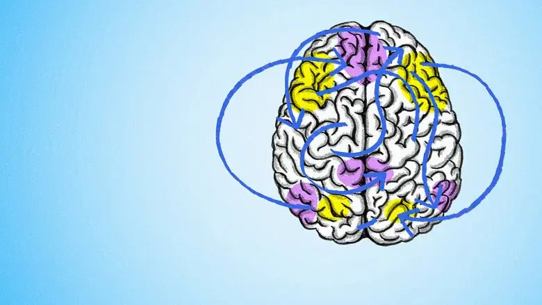 The Mind, Explained still 5