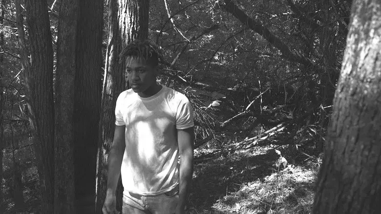 The Poet still 4