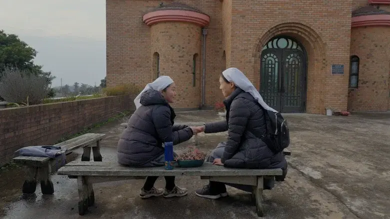 Shine still 4