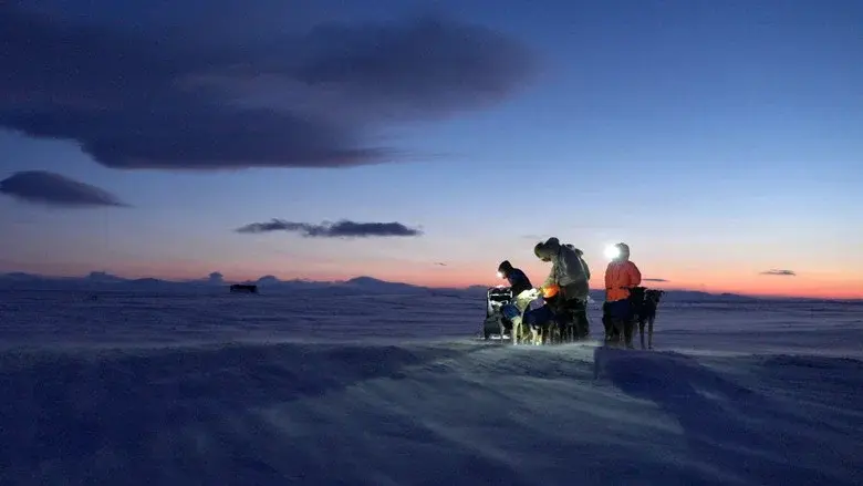 Musher, l'appel de l'Alaska still 2