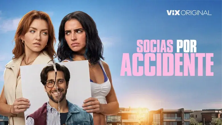 Accidental Partners still 6